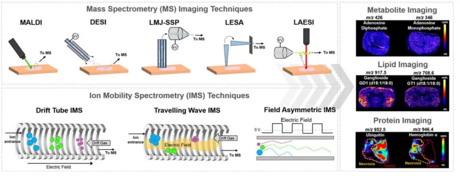 Figure 3 | Schematic Representation of IMS and MSI Technologies